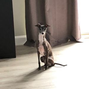 Meet your Posher, Nadine